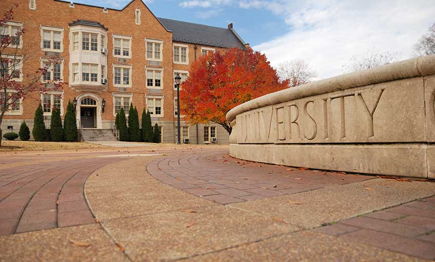 Image of a university