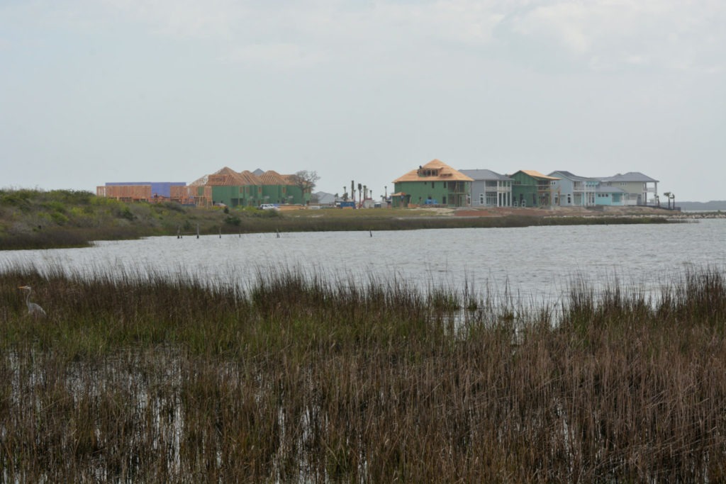 Coastal harbor with greenery